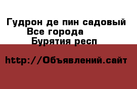 Гудрон де пин садовый - Все города  »    . Бурятия респ.